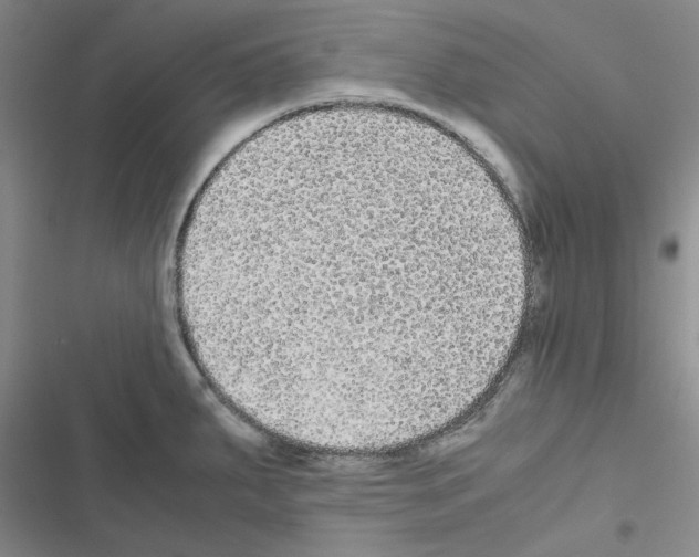 X0000116561287201001211215