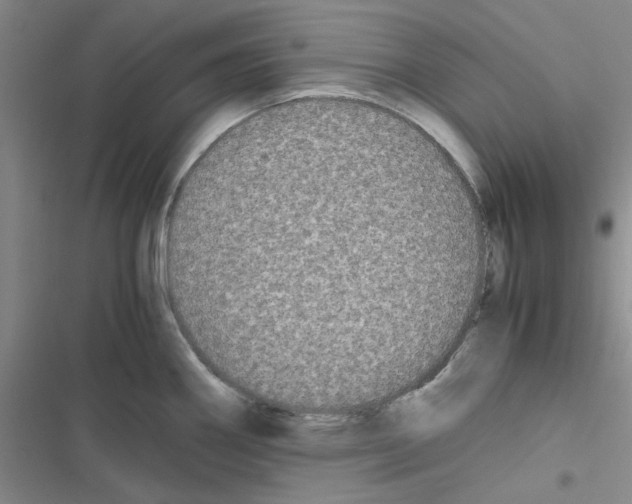 X0000116561290201001211215