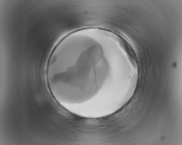 X0000116561291201001211215