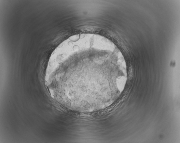 X0000116561297201001211214
