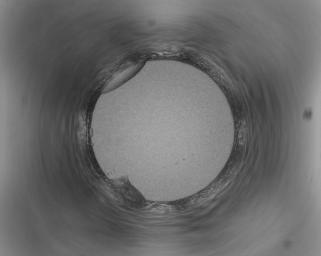 X0000116561298201001211214