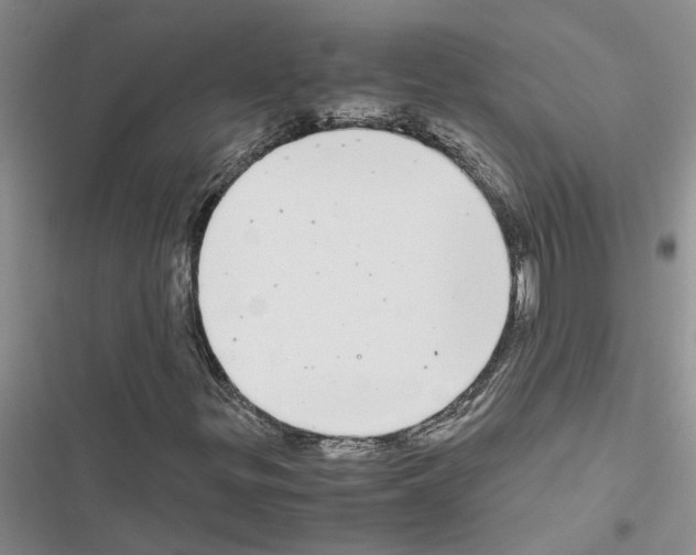X0000116561299201001211214