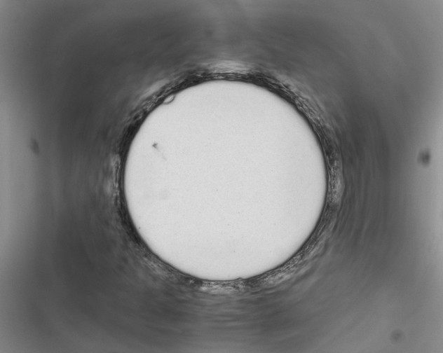 X0000116561301201001211214