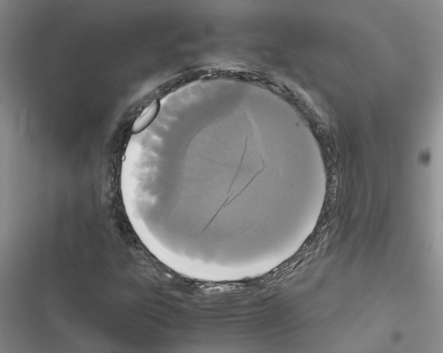 X0000116561303201001211214
