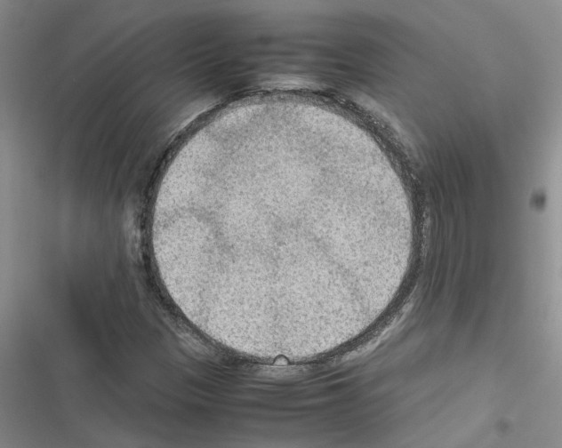 X0000116561305201001211214