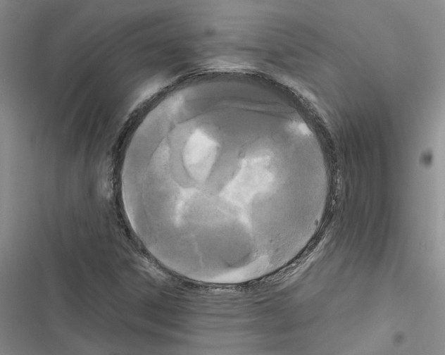 X0000116561306201001211214