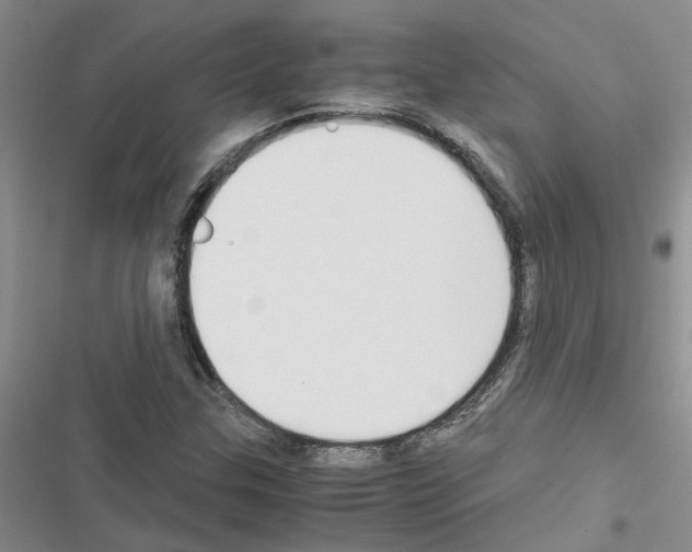 X0000116561307201001211214
