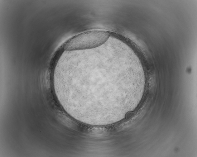 X0000116561310201001211214