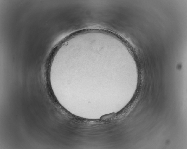 X0000116561311201001211214