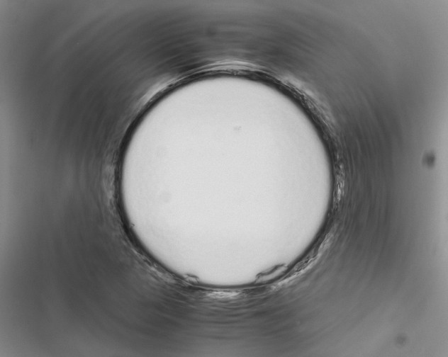 X0000116561313201001211214
