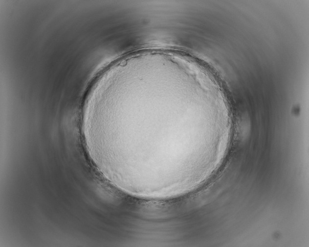 X0000116561314201001211214