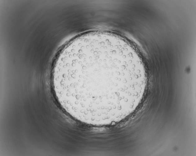 X0000116561315201001211214