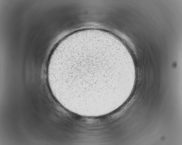 X0000116561318201001211214