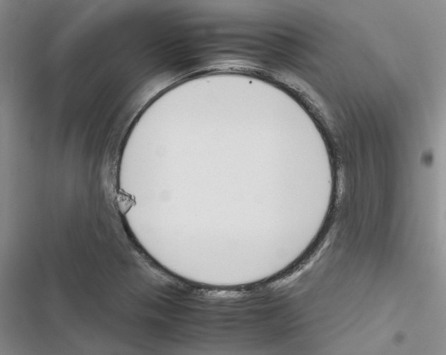 X0000116561321201001211214