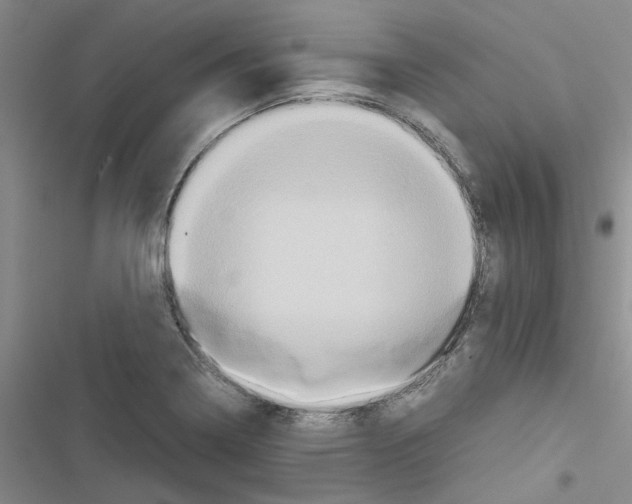 X0000116561322201001211214