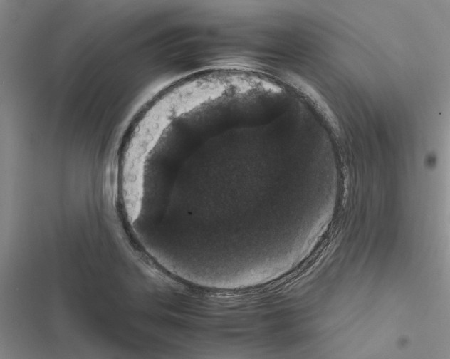 X0000116561323201001211214