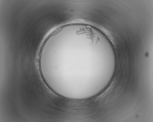 X0000116561326201001211214