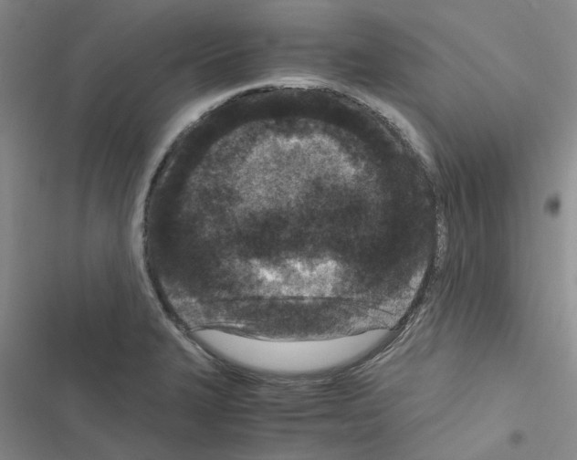 X0000116561327201001211214