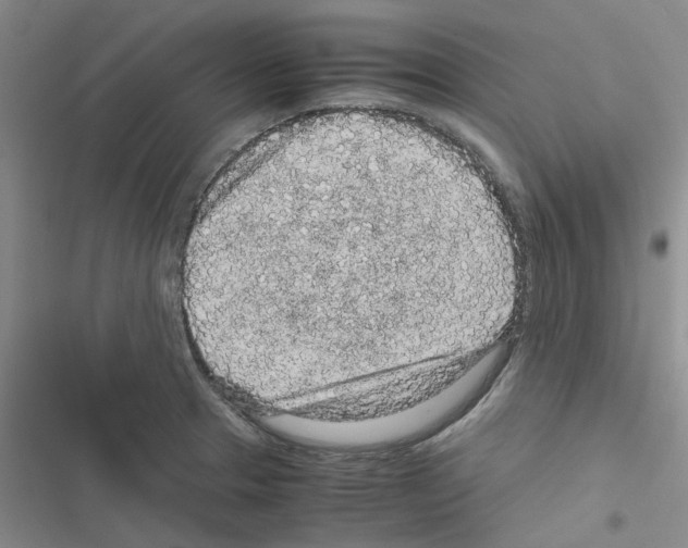 X0000116561329201001211214