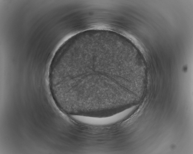 X0000116561331201001211214