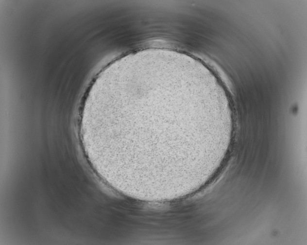 X0000116561333201001211215
