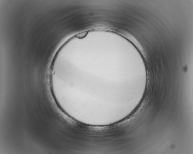 X0000116561339201001211215