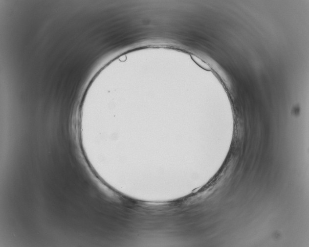 X0000116561343201001211215