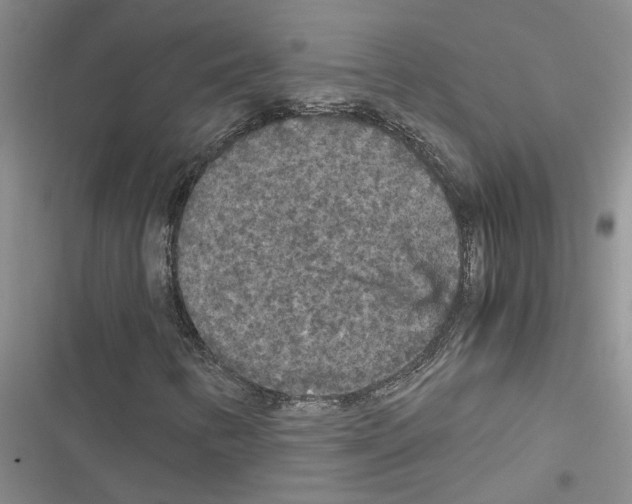 X0000116561346201001211214