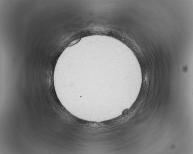X0000116561348201001211214
