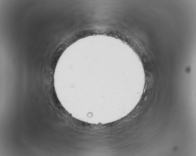 X0000116561349201001211214