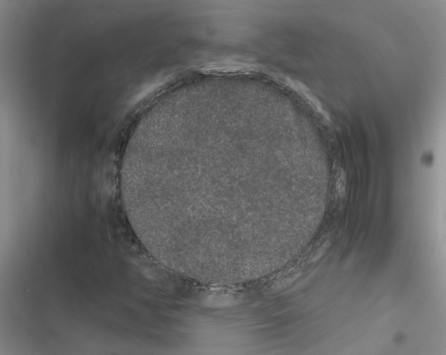 X0000116561350201001211214