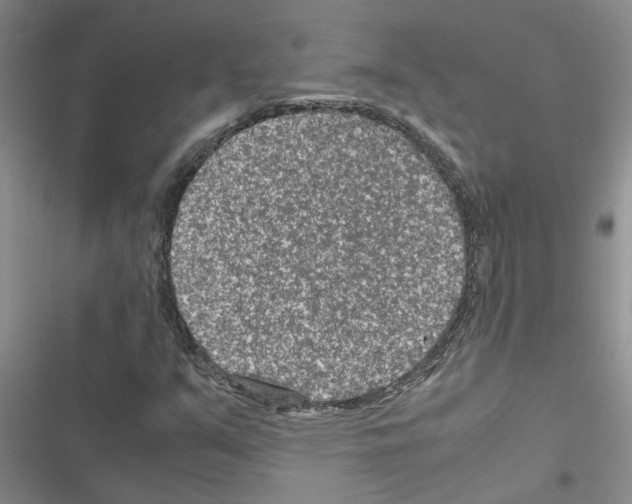 X0000116561351201001211214