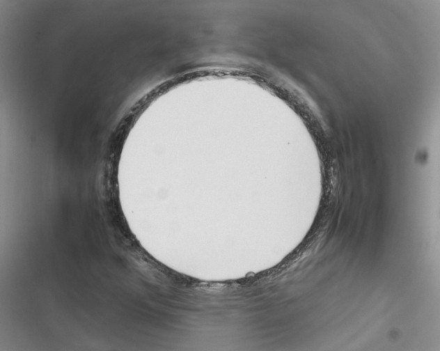 X0000116561352201001211214