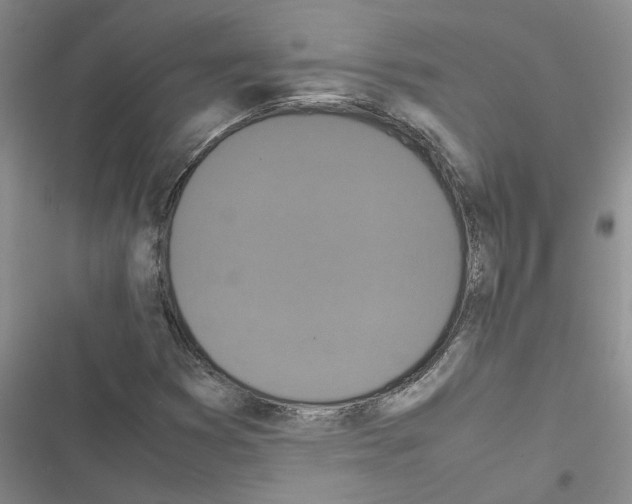 X0000116561353201001211214