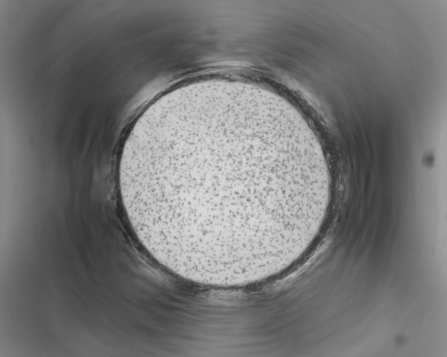 X0000116561354201001211214