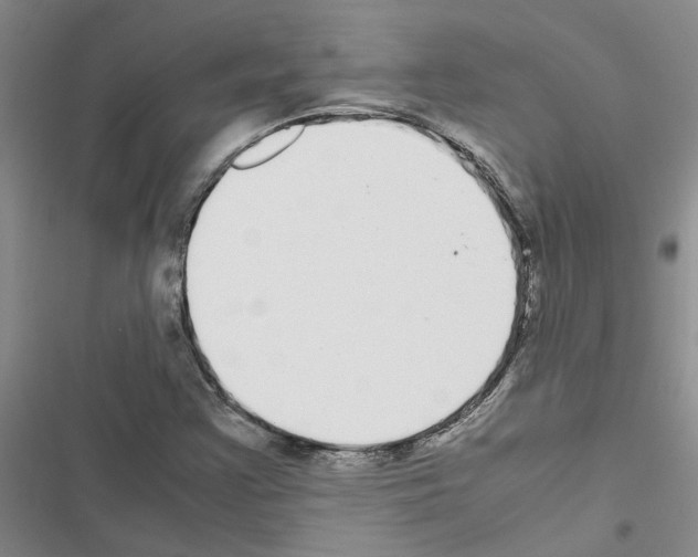 X0000116561355201001211214
