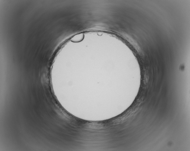 X0000116561356201001211214