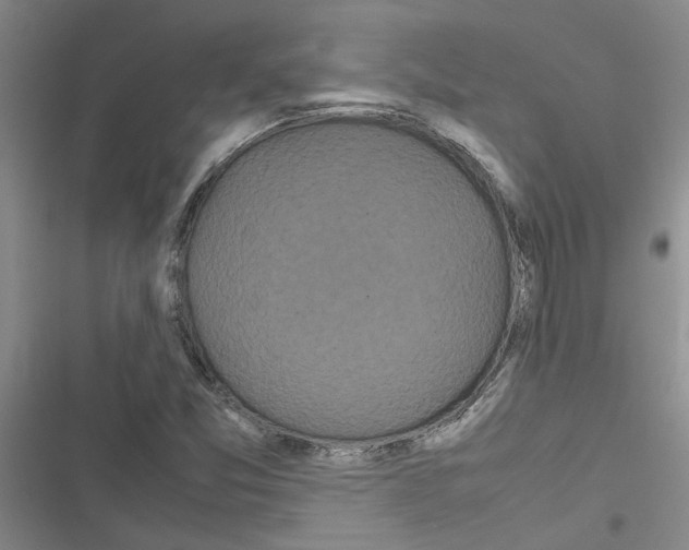X0000116561357201001211214