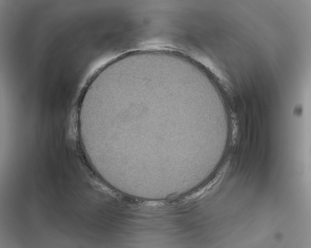 X0000116561358201001211214
