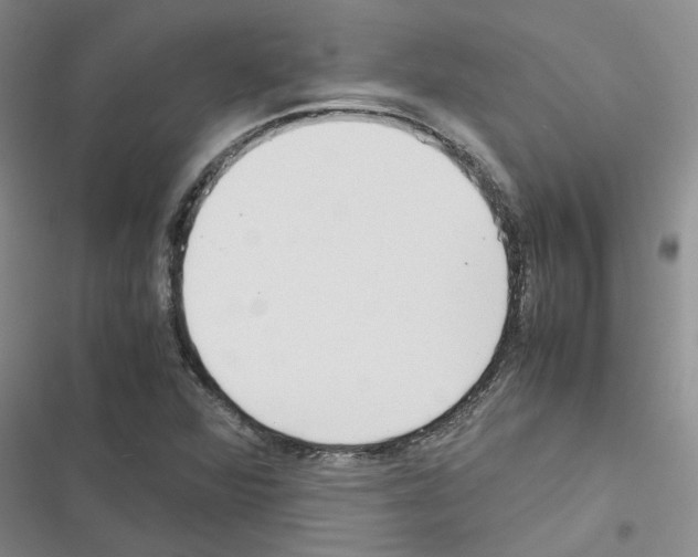 X0000116561360201001211214