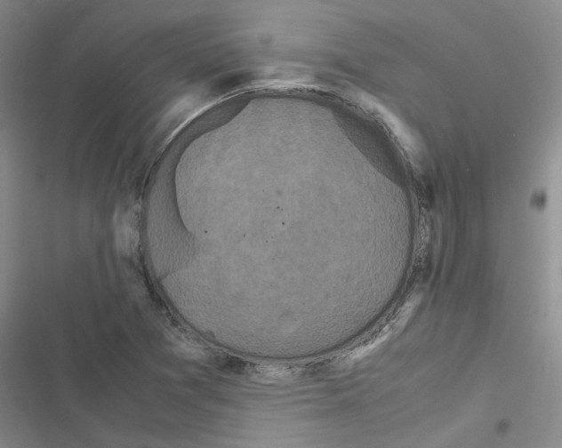 X0000116561361201001211214