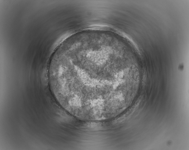 X0000116561362201001211214