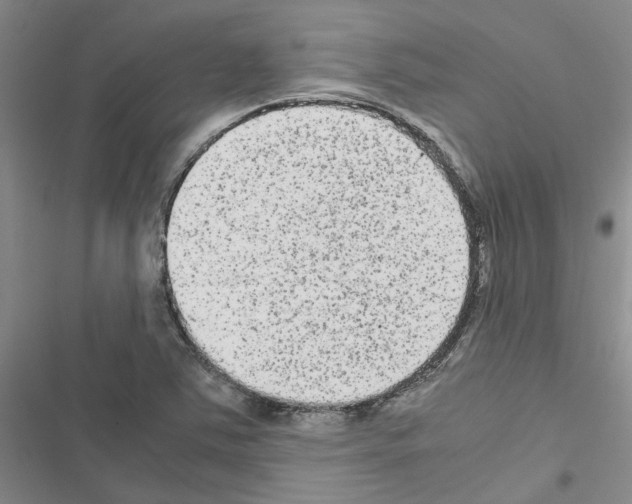 X0000116561363201001211214