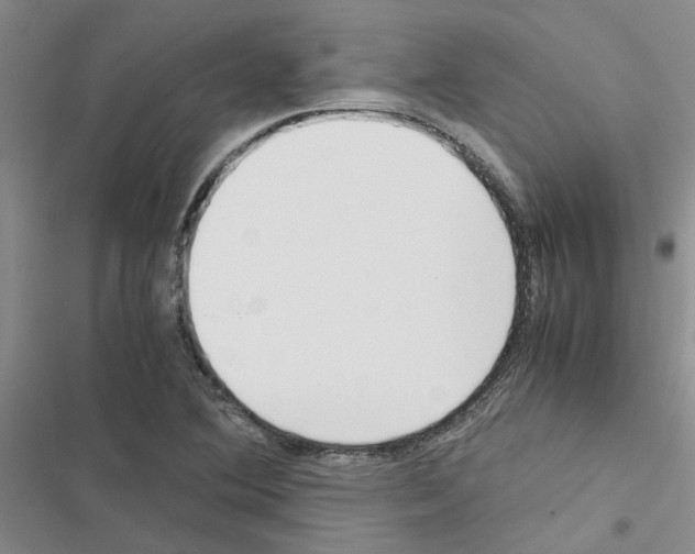 X0000116561364201001211214