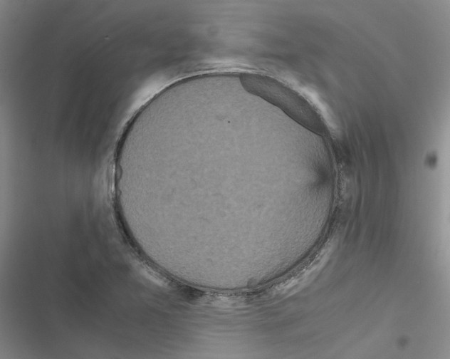 X0000116561365201001211214