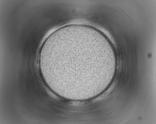X0000116561366201001211214