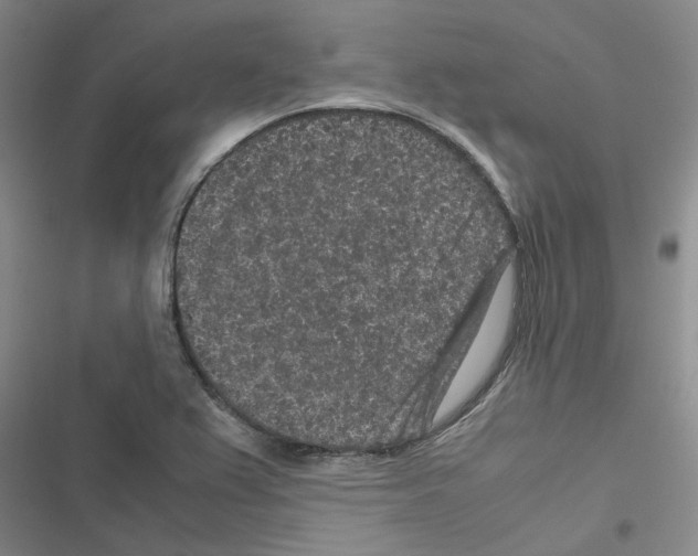 X0000116561367201001211214