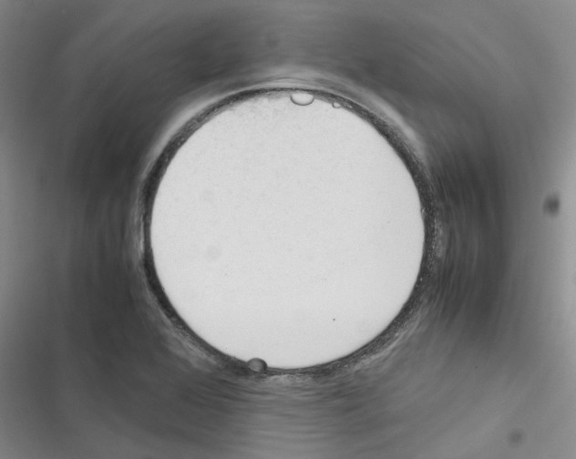 X0000116561368201001211214