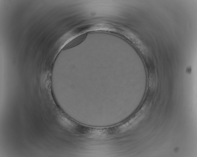 X0000116561369201001211214