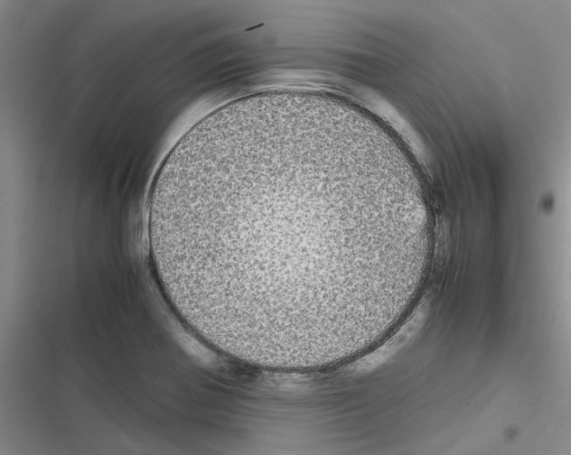 X0000116561370201001211214